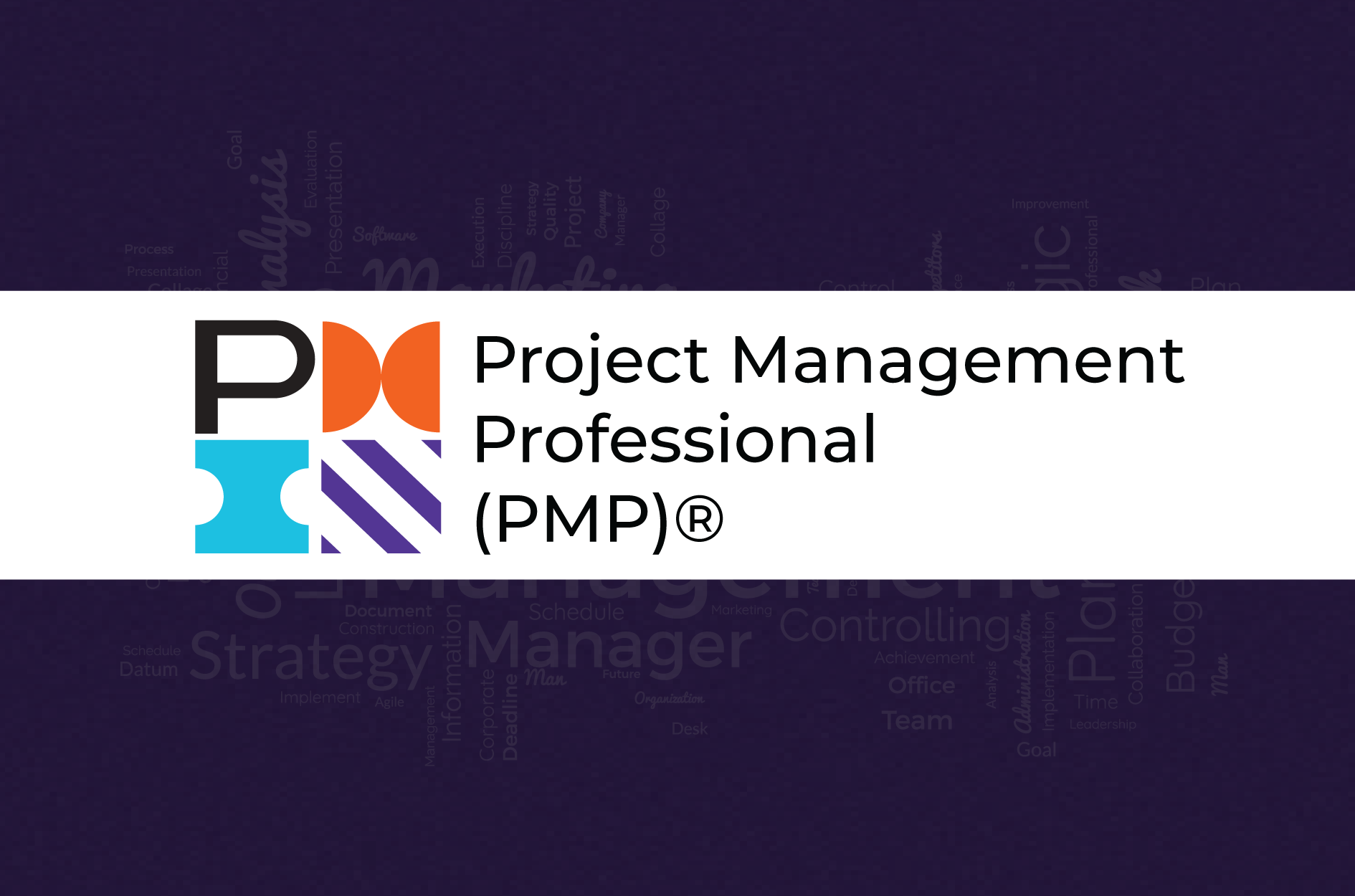 Project Management Professional (PMP)