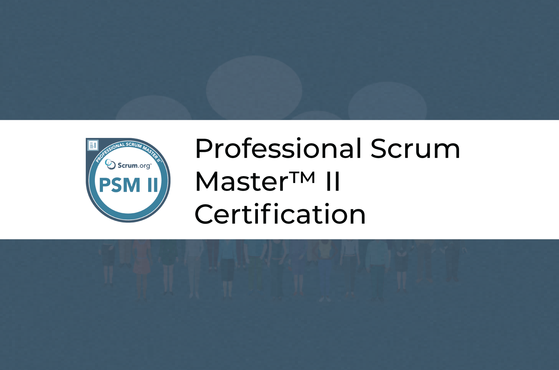 Professional Scrum Master™ II Certification